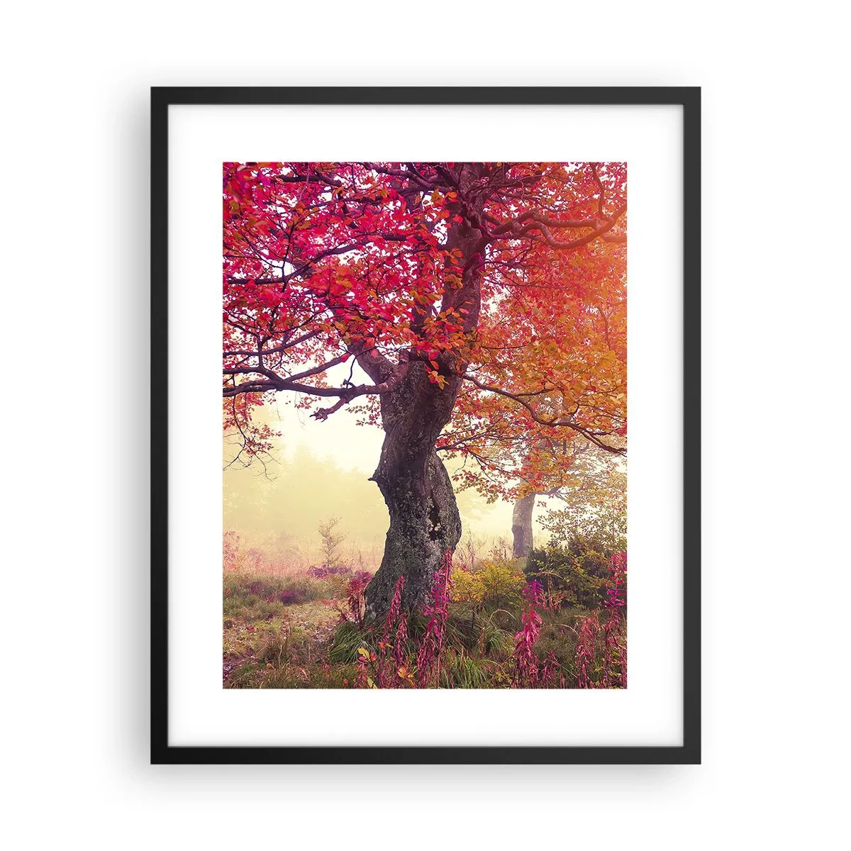 Plakat w czarnej ramie - Szał rozkwitu - 40x50 cm