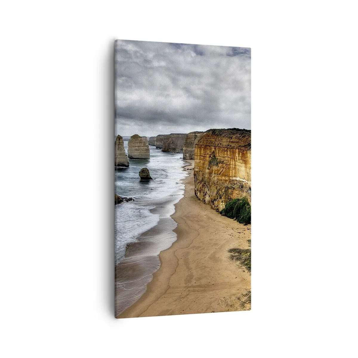 Obraz na płótnie - Surowe piękno - 55x100 cm