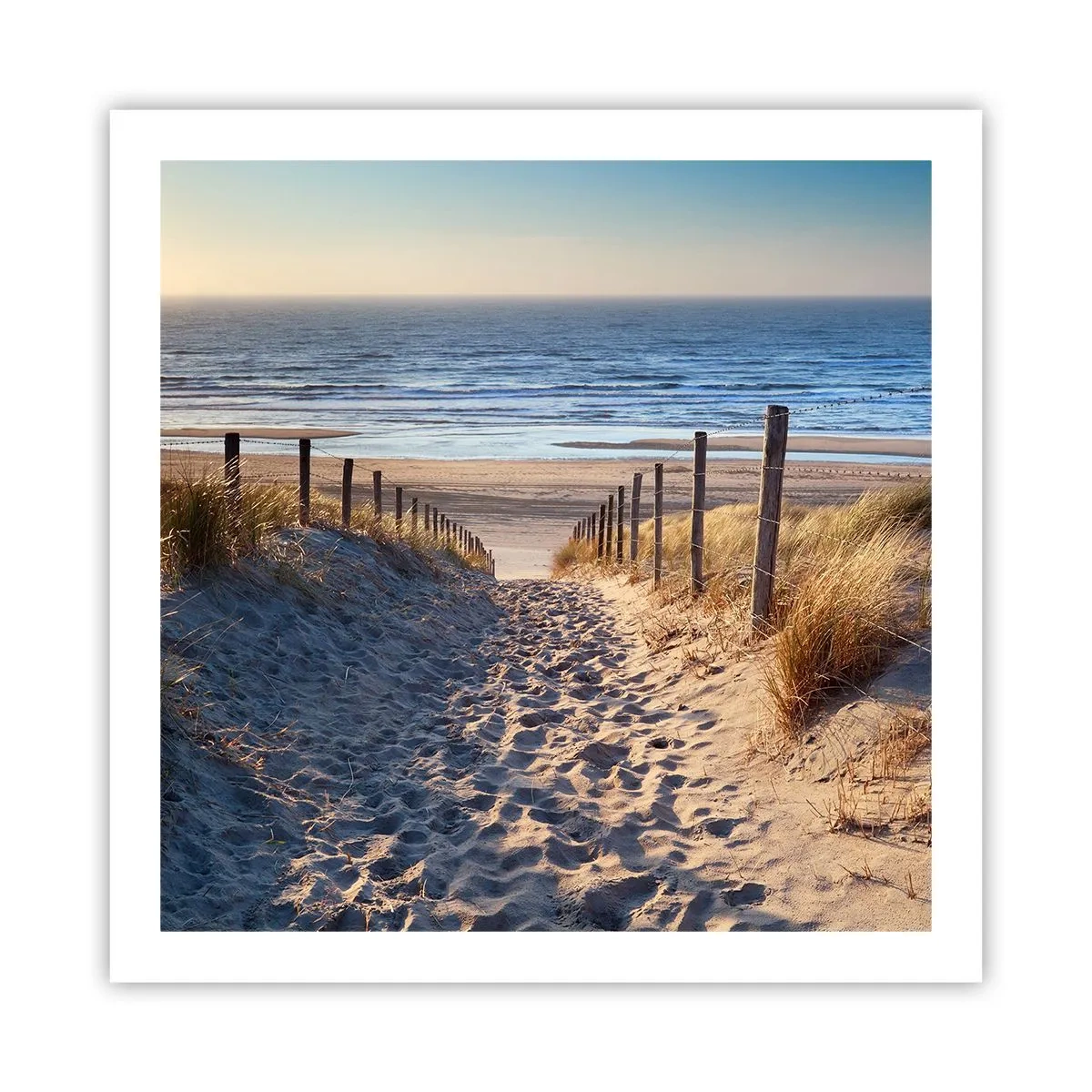 Plakat - Morza szum, ptaków śpiew, dzika plaża pośród traw… - 60x60 cm