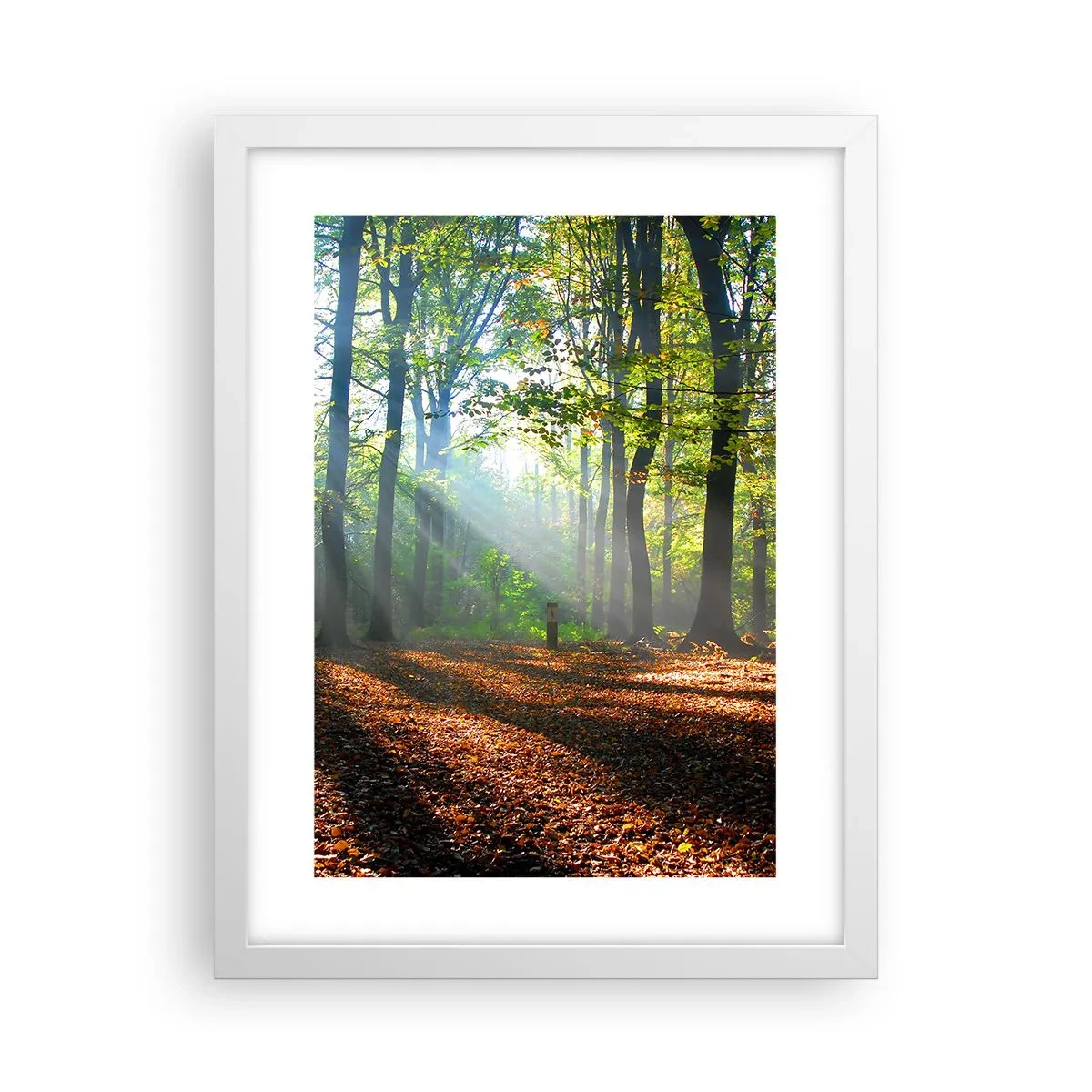 Plakat w białej ramie - Blaski i cienie - 30x40 cm