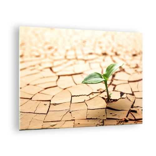 Obraz na szkle - Młoda roślina wyrastająca z suchej, spękanej ziemi - 70x50cm - Nieposkromiona siła życia - Nowoczesna dekoracja ścienna do salonu i sypialni ARTTOR