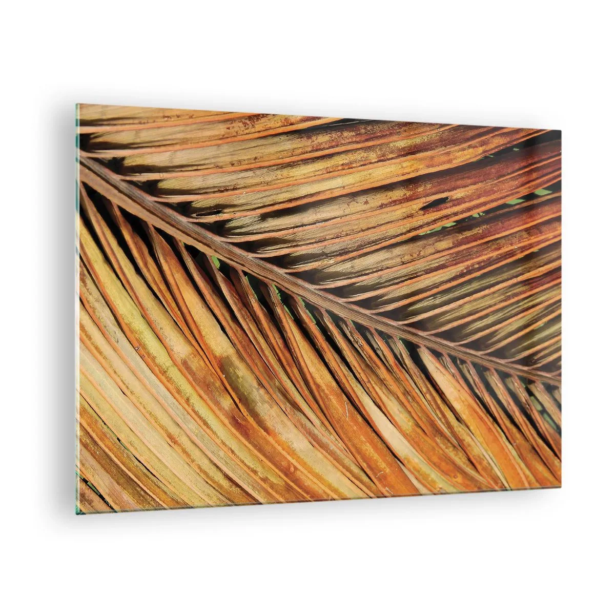 Obraz na szkle - Zbliżenie na suche, złote liście palmy - 70x50cm - Kokosowe złoto - Nowoczesna dekoracja ścienna do salonu i sypialni ARTTOR