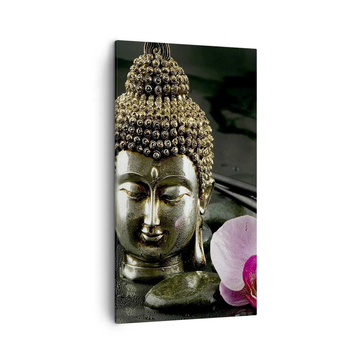 Obraz na płótnie - Harmonia mądrości i piękna - 45x80 cm