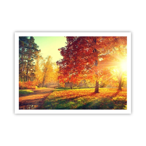 Plakat - Jesienny park oświetlony promieniami słońca - 100x70cm - Rude jest piękne - Nowoczesna dekoracja ścienna do salonu i sypialni ARTTOR