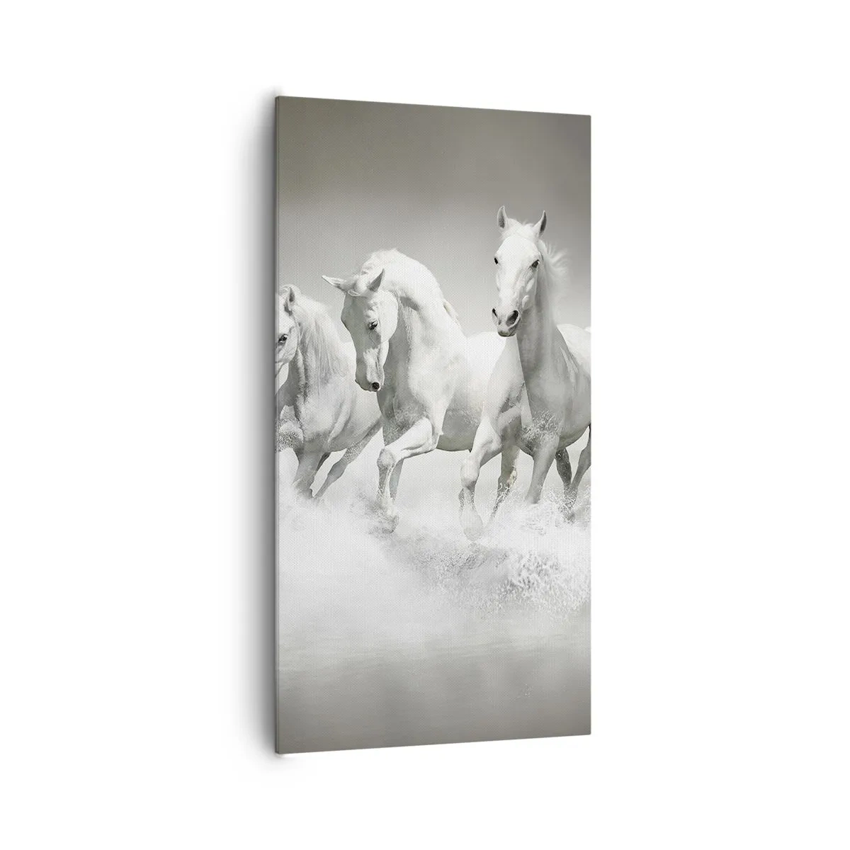 Obraz na płótnie - Białe szaleństwo - 65x120 cm