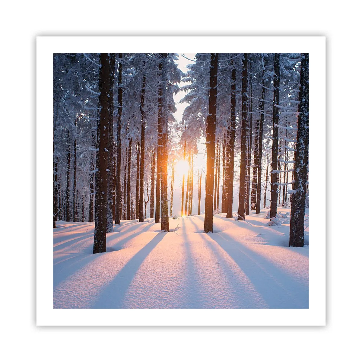 Plakat - Wyraźnie czarno na białym - 60x60 cm