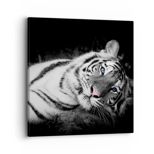 Obraz na płótnie - Dzikość i spokój - 40x40 cm