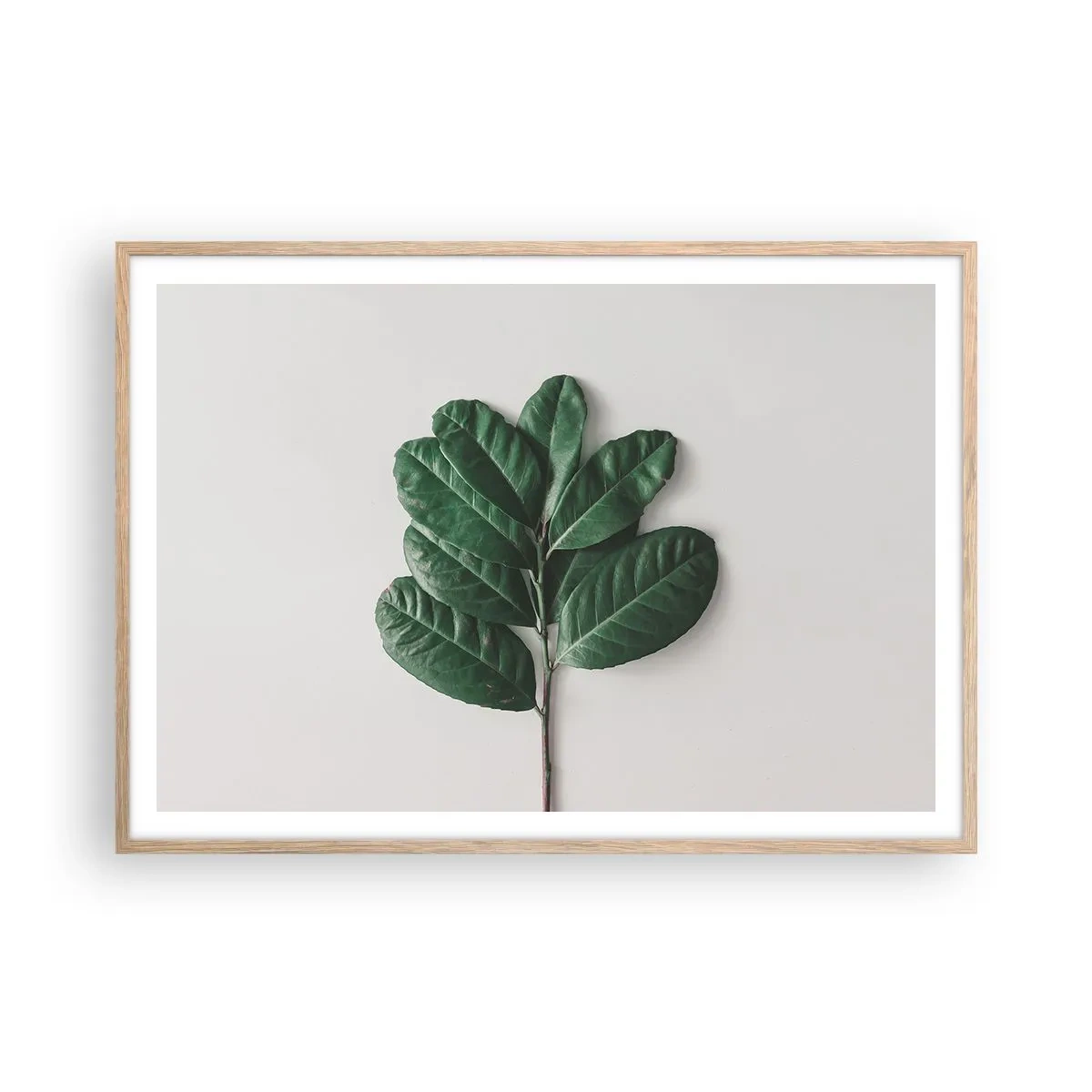 Plakat w ramie jasny dąb - Rysunek samej natury - 100x70 cm