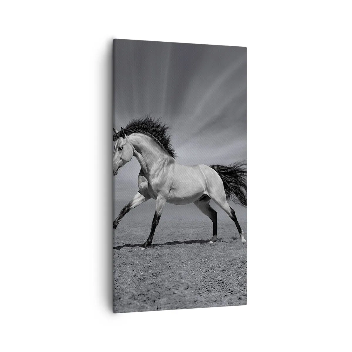 Obraz na płótnie - Urodzony, by zachwycać - 55x100 cm