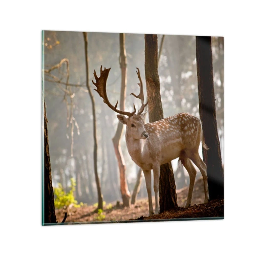 Obraz na szkle - Światło młodości - 50x50 cm