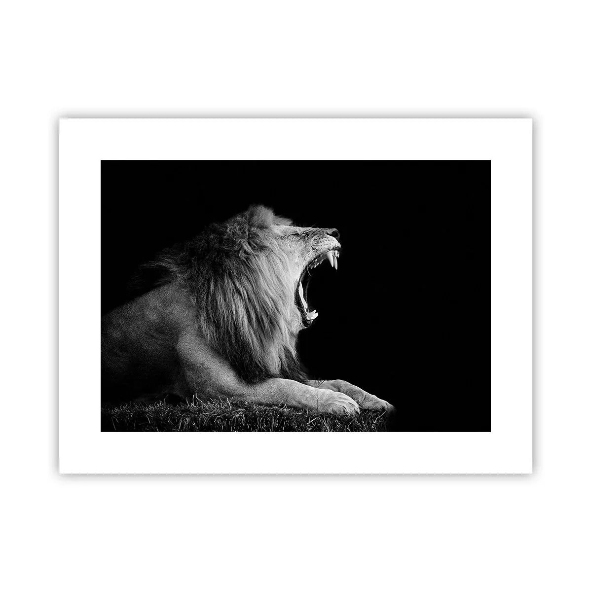 Plakat - Bez żadnych wątpliwości - 40x30 cm