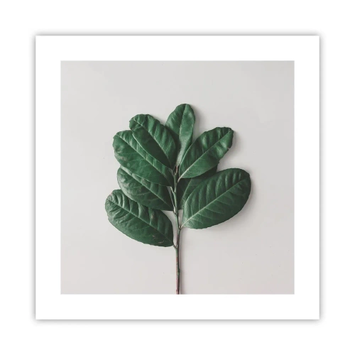 Plakat - Rysunek samej natury - 40x40 cm