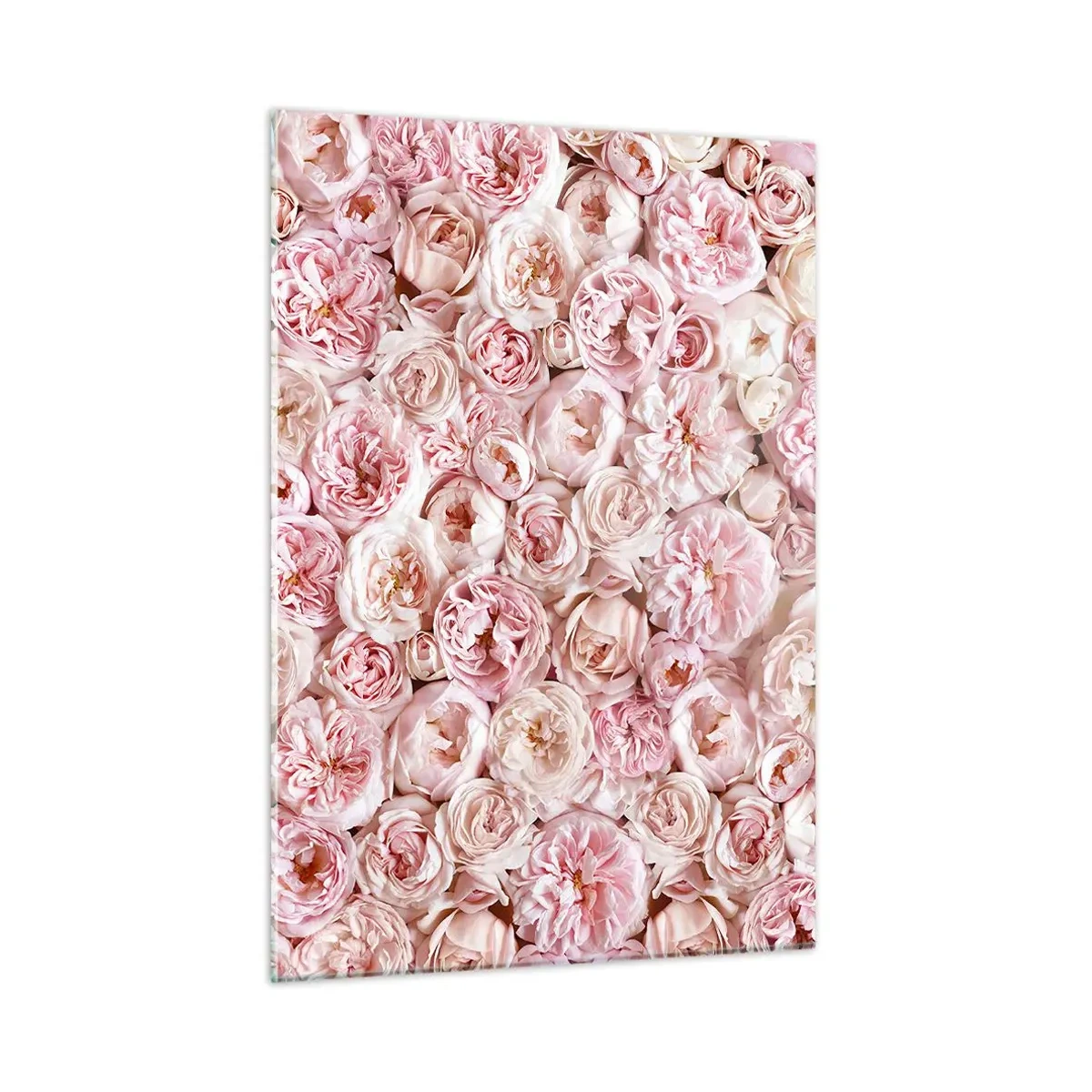 Obraz na szkle - Pastelowe róże w gęstej kompozycji kwiatowej - 50x70cm - Usłane różami - Nowoczesna dekoracja ścienna do salonu, kuchni i sypialni ARTTOR