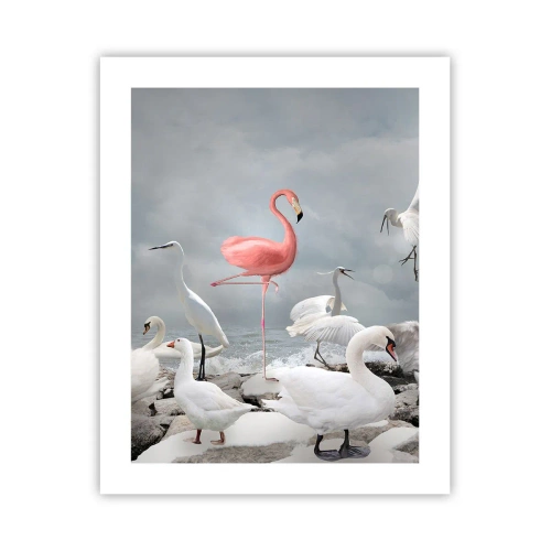 Plakat - Skąd się tu wziąłem? - 40x50 cm