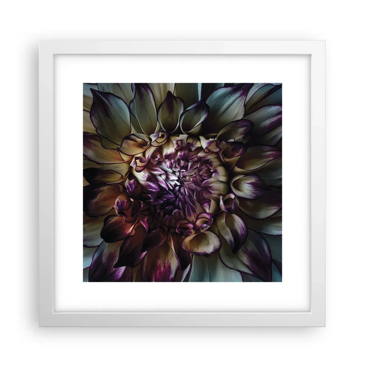 Plakat w białej ramie - Rozkwit młodości - 30x30 cm