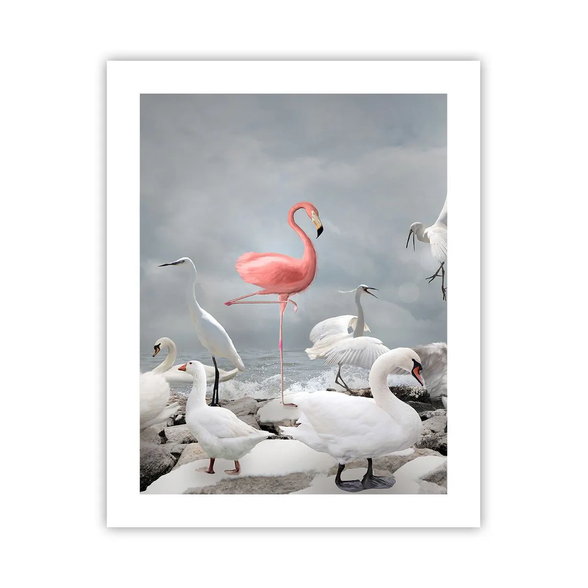 Plakat - Skąd się tu wziąłem? - 40x50 cm