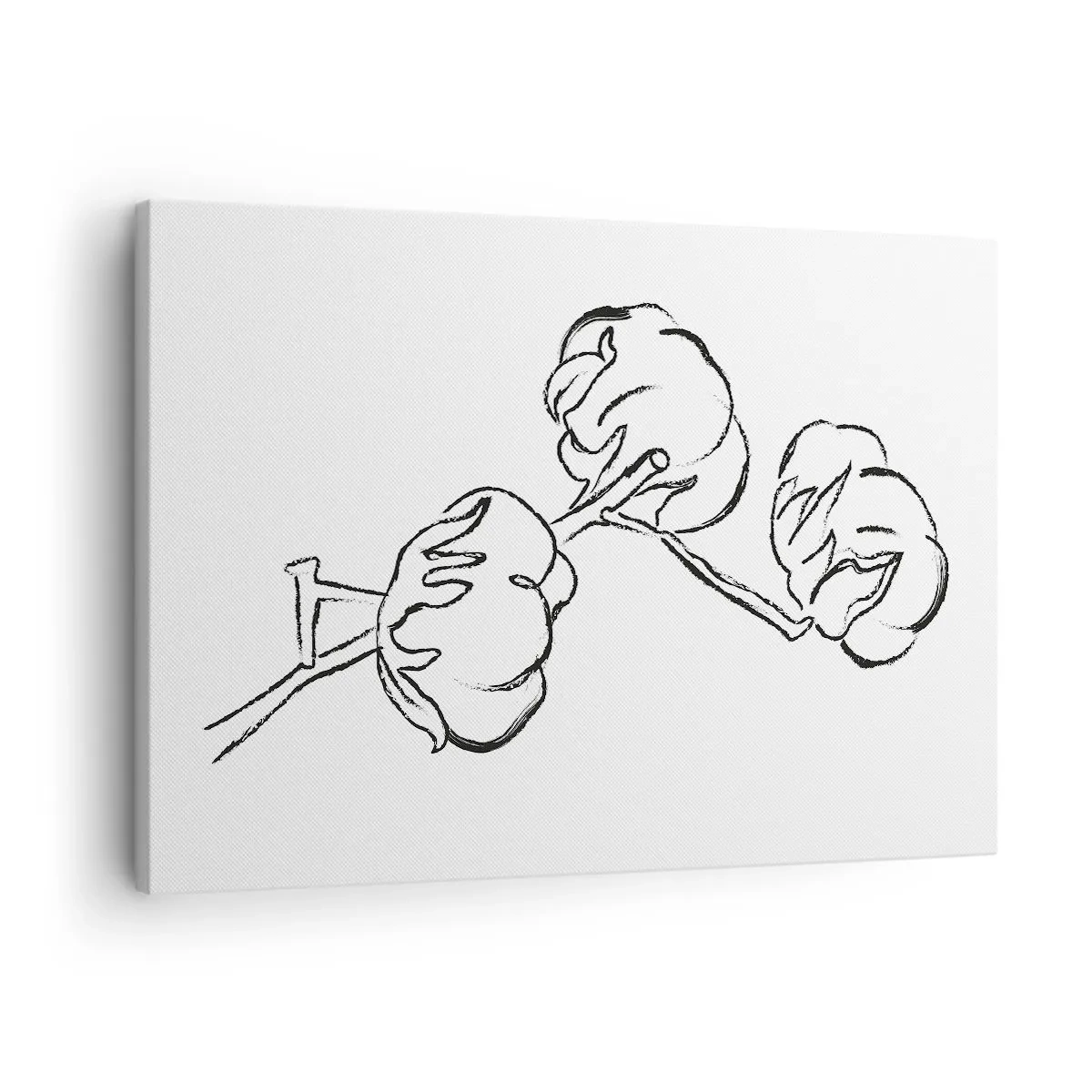 Obraz na płótnie - Delikatny kontur gałązki bawełny na białym tle - 70x50cm - Bawełniany puch - Nowoczesna dekoracja ścienna do salonu i sypialni ARTTOR