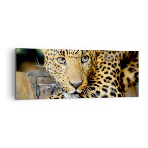 Obraz na płótnie - Portret lamparta w naturalnym otoczeniu - 140x50cm - Nie bój się, podejdź - Nowoczesna dekoracja ścienna do salonu i sypialni ARTTOR