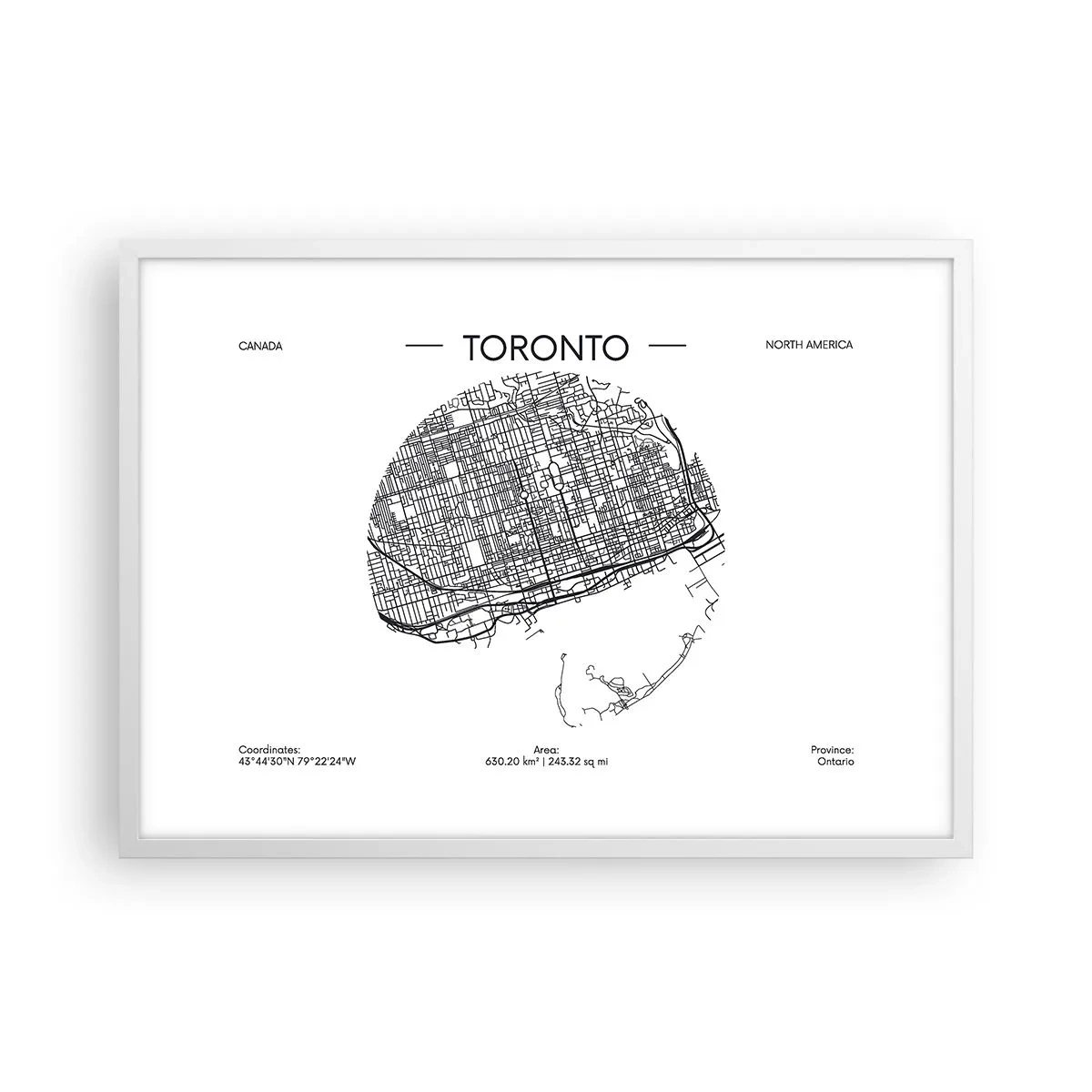 Plakat w białej ramie - Anatomia Toronto - 70x50 cm