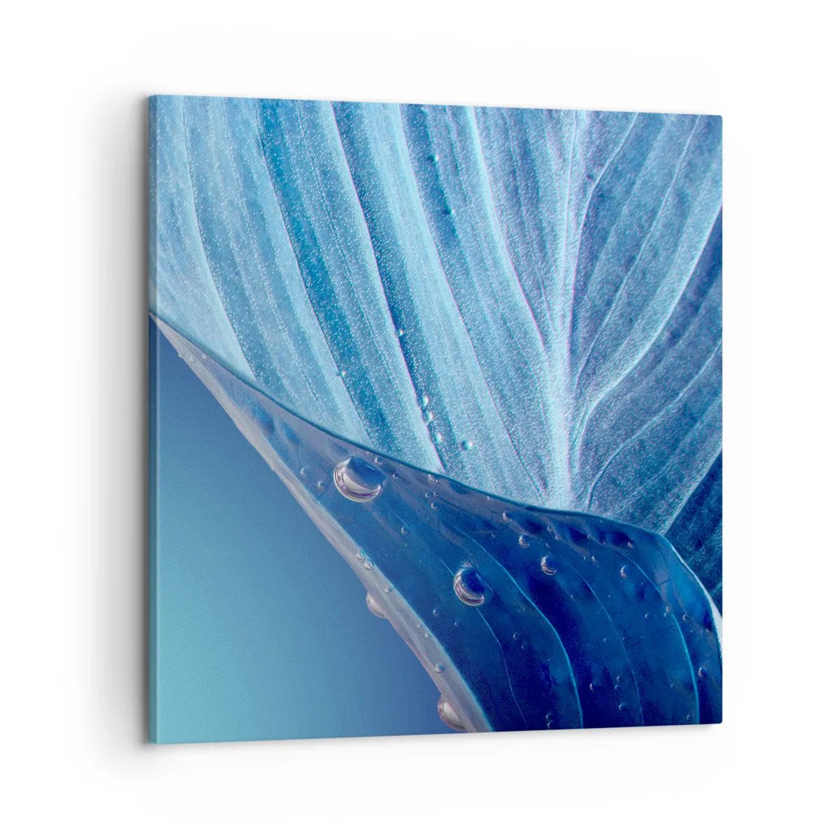 Obraz na płótnie - Ukryte krople błękitu - 60x60 cm