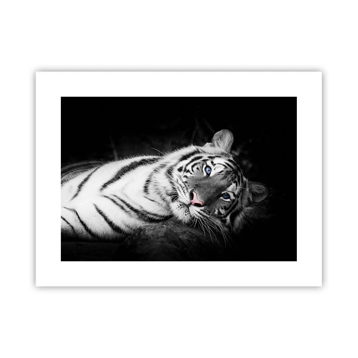 Plakat - Dzikość i spokój - 40x30 cm