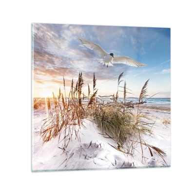 Obraz na szkle - Wiatr od morza - 70x70 cm