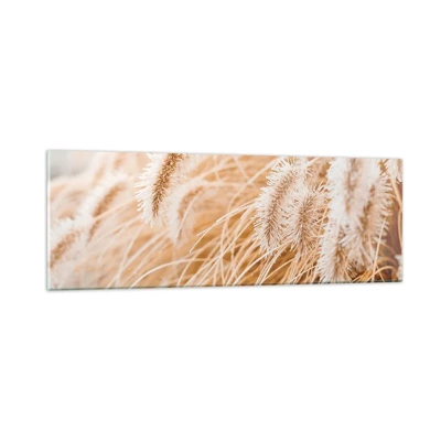 Obraz na szkle - Złoty szelest traw - 90x30 cm