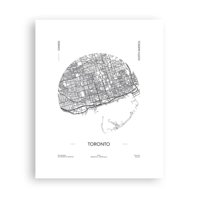 Plakat - Anatomia Toronto - 40x50 cm