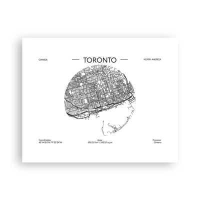 Plakat - Anatomia Toronto - 50x40 cm