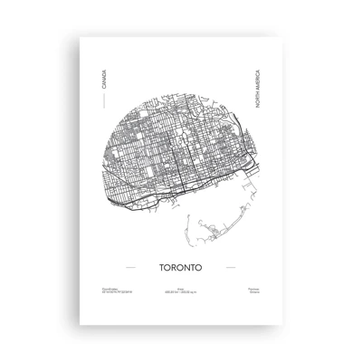 Plakat - Anatomia Toronto - 70x100 cm