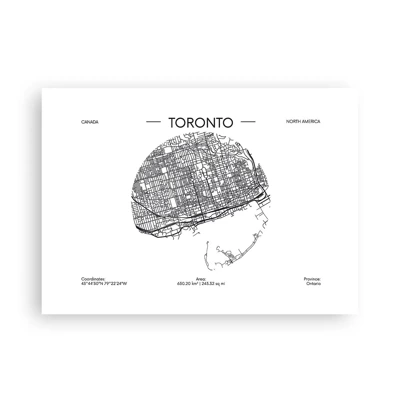 Plakat - Anatomia Toronto - 70x50 cm