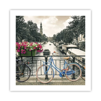 Plakat - Kolory amsterdamskiej ulicy - 50x50 cm