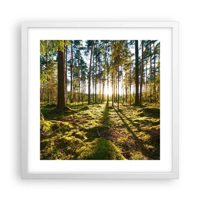 Plakat w białej ramie - …Za siedmioma lasami - 40x40 cm