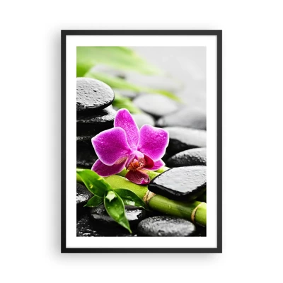 Plakat w czarnej ramie - W spokojnej równowadze - Fioletowa orchidea na mokrych kamieniach i zielonych liściach - 50x70cm