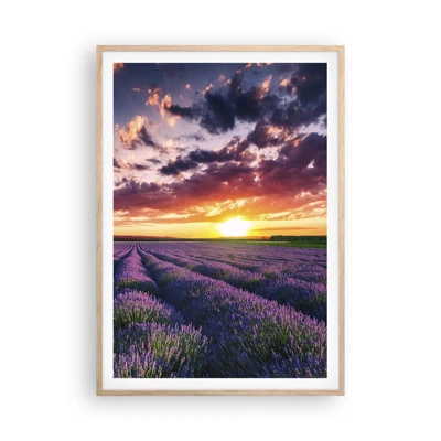 Plakat w ramie jasny dąb - Lawendowy świat - 70x100 cm