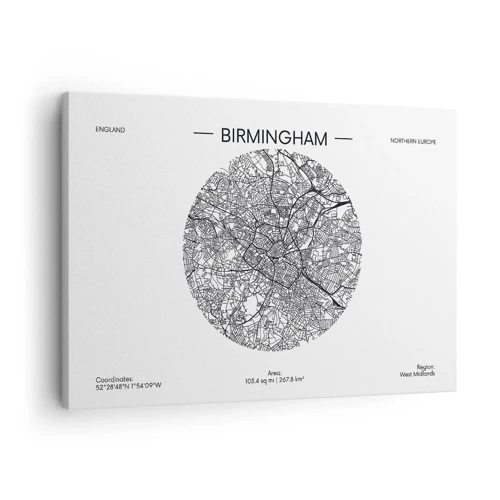 Obraz na płótnie - Anatomia Birmingham - 70x50 cm