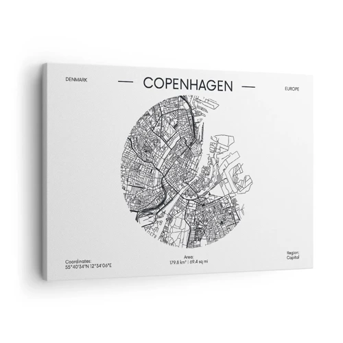 Obraz na płótnie - Anatomia Kopenhagi - 70x50 cm