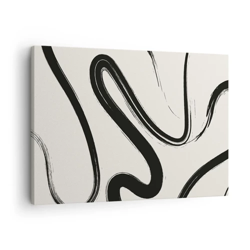 Obraz na płótnie - Czarno-biała fanaberia - 70x50 cm