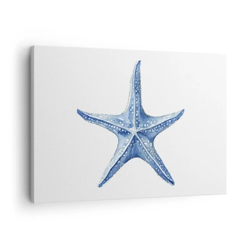 Obraz na płótnie - Gwiazda morza - 70x50 cm