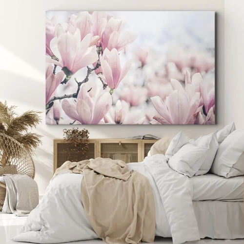 Obraz na płótnie - Ideał subtelności - Subtelne kwiaty magnolii w delikatnych różowych odcieniach - 70x50cm