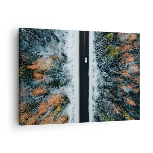 Obraz na płótnie - Przeciąć zimowy las - 70x50 cm