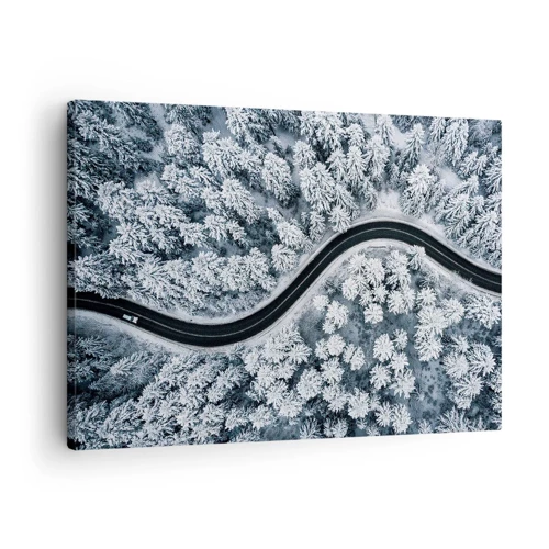 Obraz na płótnie - Przez zimowy las - 70x50 cm