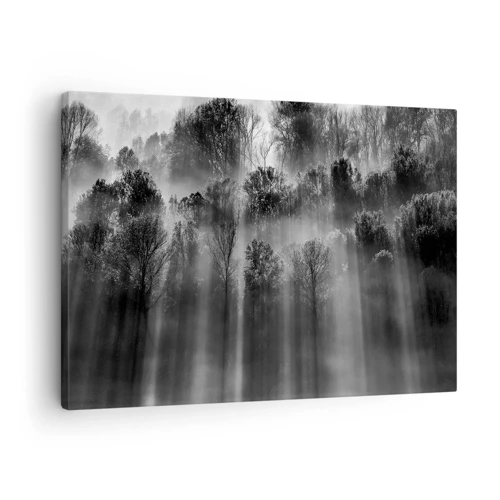 Obraz na płótnie - W strumieniach światła - 70x50 cm
