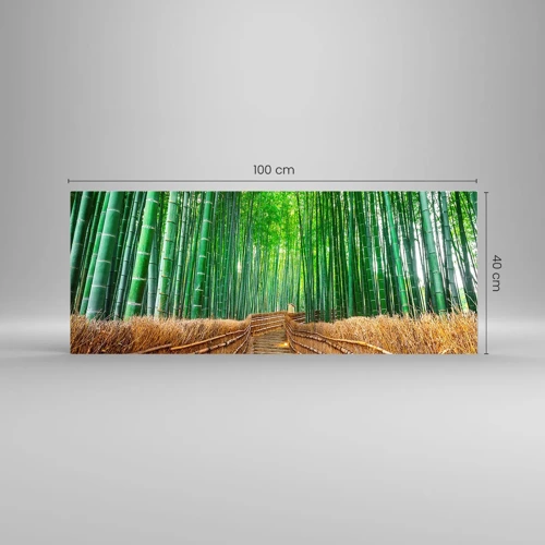 Obraz na szkle - Esencja azjatyckiej natury - 100x40 cm