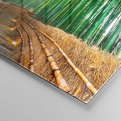 Obraz na szkle - Esencja azjatyckiej natury - 100x40 cm