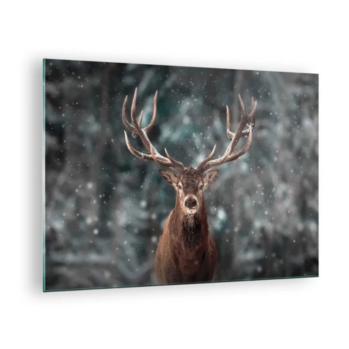 Obraz na szkle - Król lasu ukoronowany - 70x50 cm