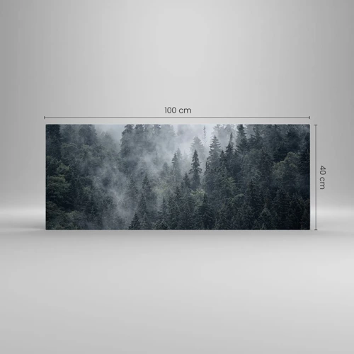 Obraz na szkle - Leśny świt - 100x40 cm