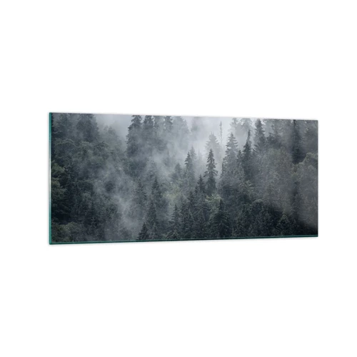 Obraz na szkle - Leśny świt - 120x50 cm
