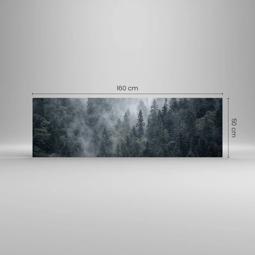 Obraz na szkle - Leśny świt - 160x50 cm