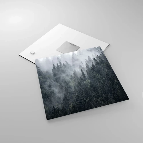 Obraz na szkle - Leśny świt - 30x30 cm